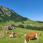 Ausblickhof *