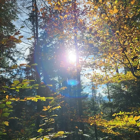 Ausblickhof Geiger Apartamento