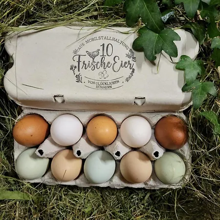 Ausblickhof Geiger Apartamento *