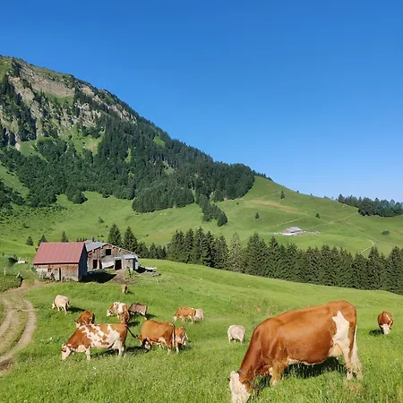 Ausblickhof *