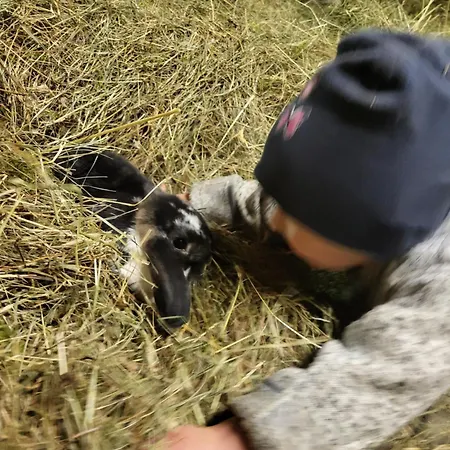 Apartamento Ausblickhof Geiger