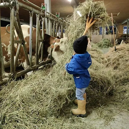 Ausblickhof Geiger Apartamento *
