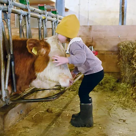 Ausblickhof Geiger * Egg