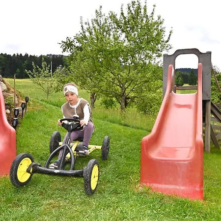Ausblickhof Apartamento *