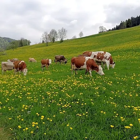 Apartamento Ausblickhof Egg