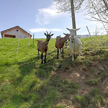 Ausblickhof