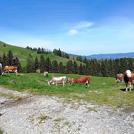 Apartamento Ausblickhof *