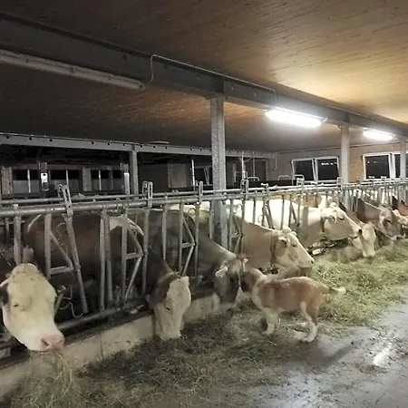 Apartamento Ausblickhof Egg